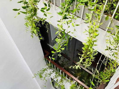 Logement dans Ha GJong, Vietnam Logement dans Ha GJong, Vietnam