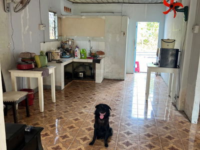 Housing in Thuan An, Vietnam Housing in Thuan An, Vietnam