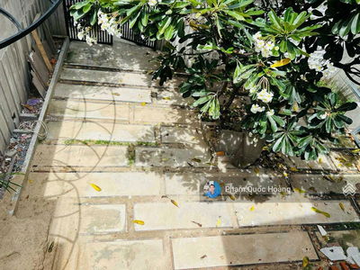 Жилье в Nha Trang, Vietnam Жилье в Nha Trang, Vietnam