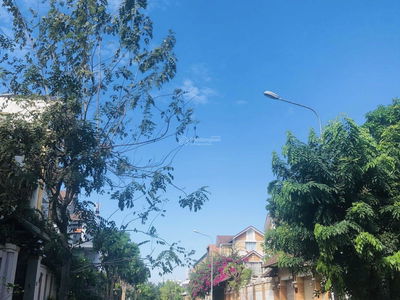 Street No. 77, Vietnam Street No. 77, Vietnam